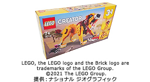 レゴ ワイルドライオン