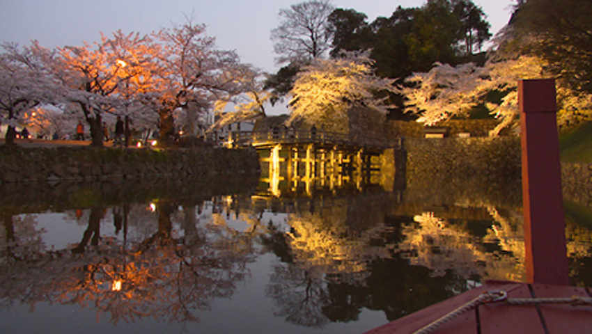 #3 名城の堀に浮かび上がる逆さ桜