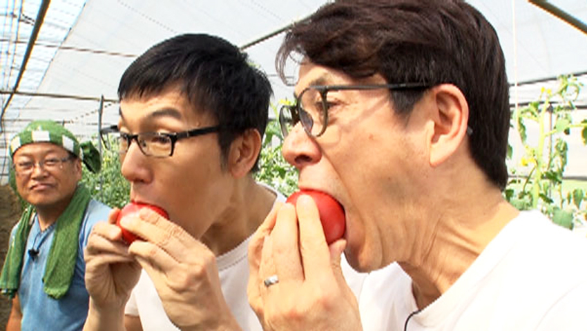 大人気！ 夏野菜の王様「芝尾さんちのトマト」のDEEPに迫ります！