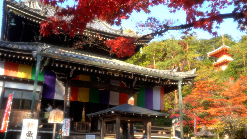 #2 第十五番札所 新那智山 今熊野観音寺