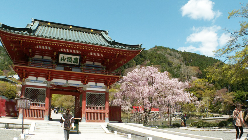 #12 第二十三番札所 応頂山 勝尾寺