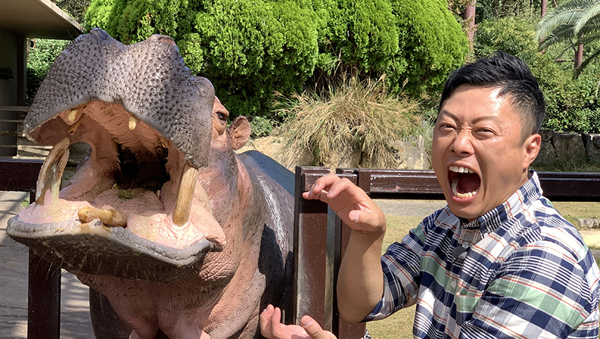 楓浜に会いたい！ ～和歌山県西牟婁郡白浜町～