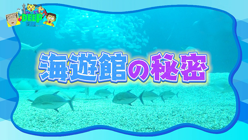 大阪定番スポットの魅力再発見！ 進化が止まらない海遊館のイマを調査！