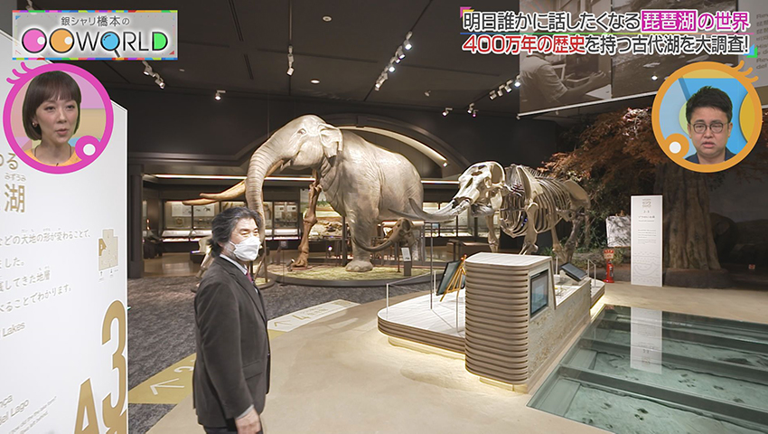 琵琶湖