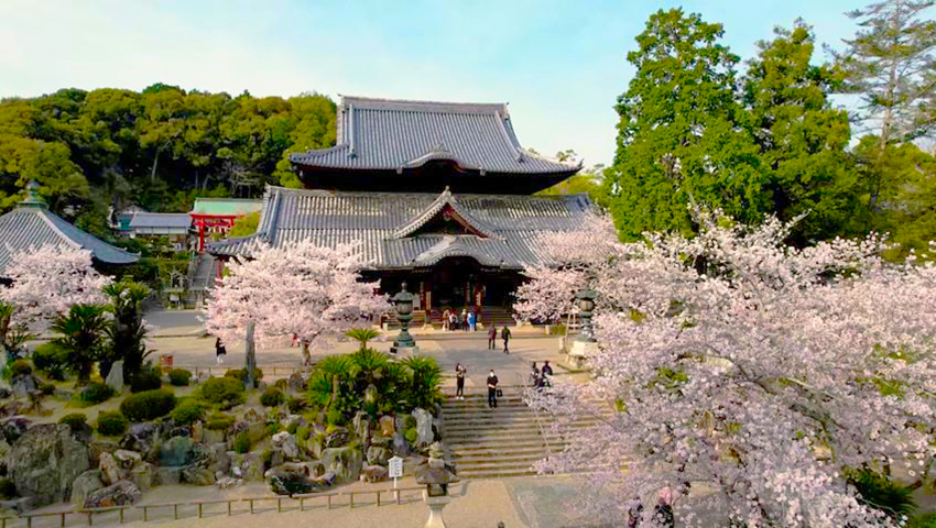 #24 第三番札所 風猛山 粉河寺