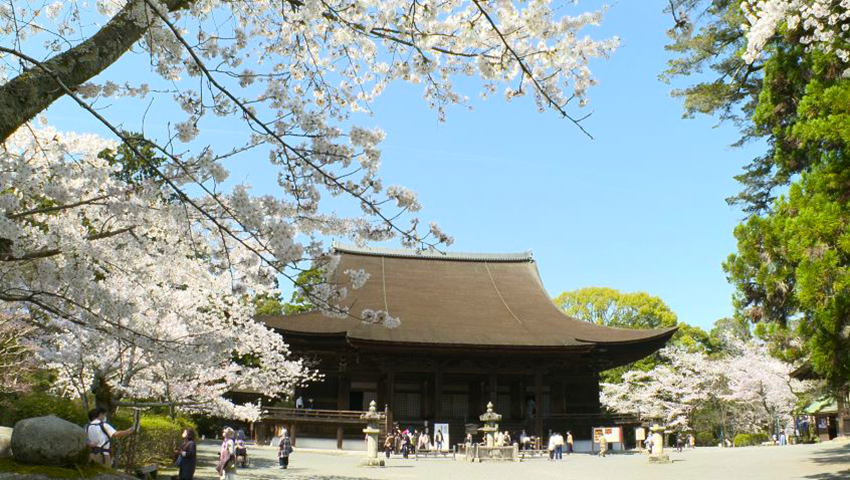 #25 第十四番札所 長等山 園城寺（三井寺）