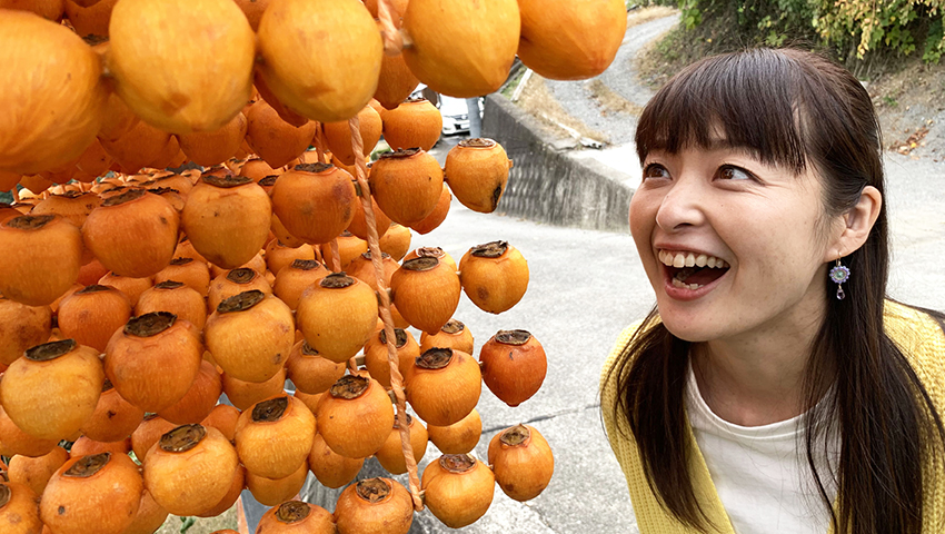 ⽇本⼀の串柿の⾥　～和歌⼭県伊都郡かつらぎ町～