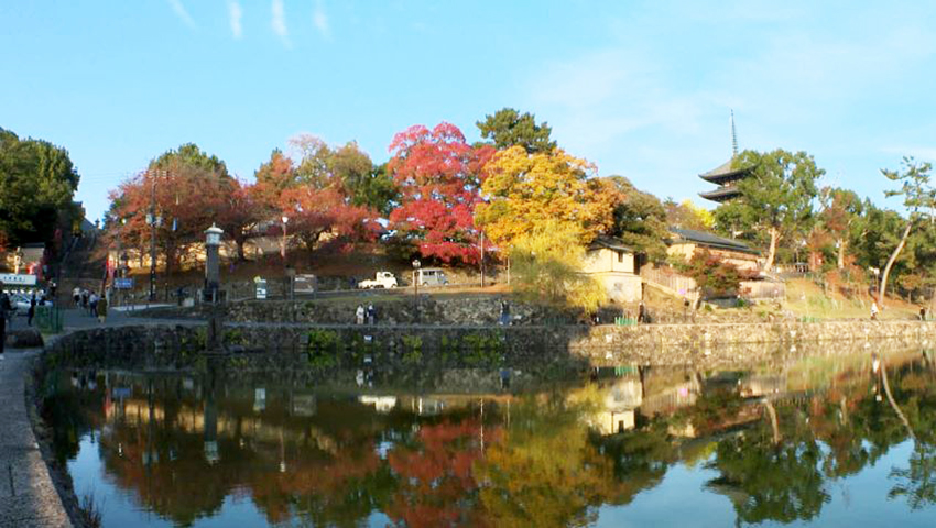 第九番札所 興福寺 南円堂