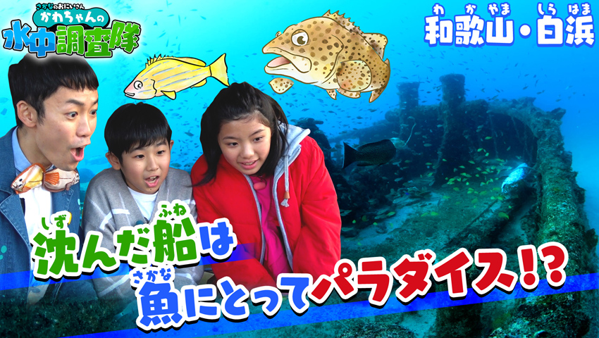 2沈んだ船はお魚にとってパラダイス!?　和歌山県白浜 完結編