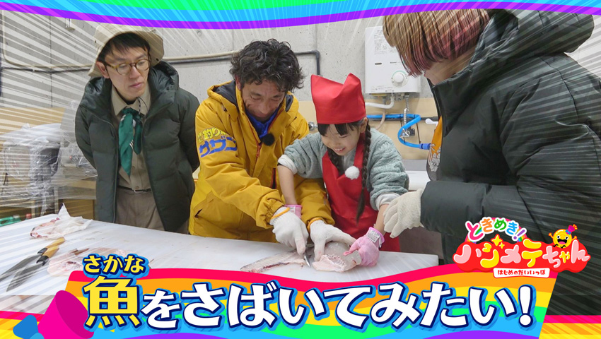 【特別番組　ときめき！ ハジメテちゃん ～はじめのだいいっぽ～】魚をさばいてみたい！小3さほちゃん