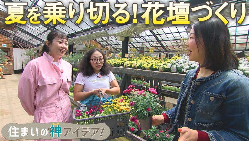 秋まで楽しめる！夏を乗り切るガーデニング 編