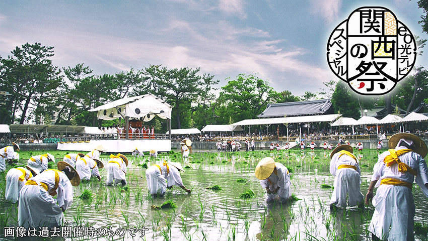 関西の祭　住吉大社 御田植神事【大阪市】
