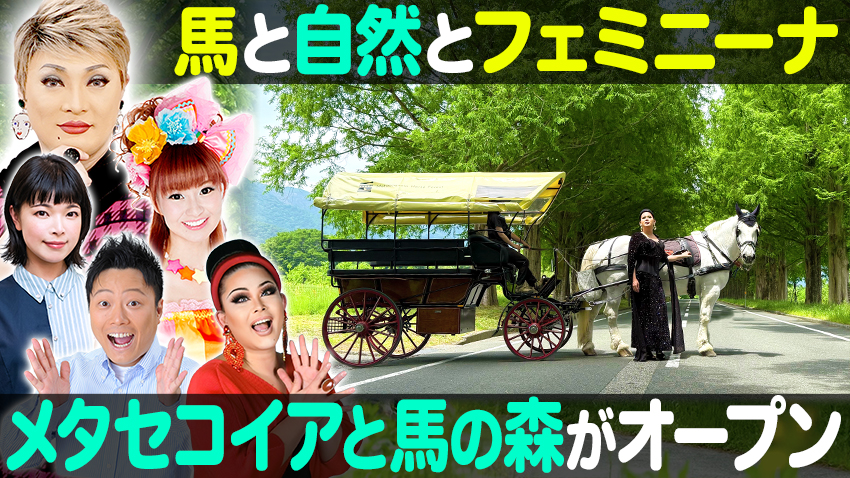 【特集】絶景メタセコイア並木を馬車で散歩!? 【中継】神戸ファッション美術館特別展『大正の夢 秘密の銘仙ものがたり』