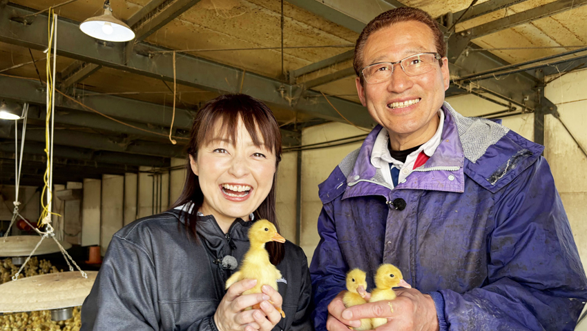 太閤秀吉と河内鴨　～大阪府松原市～