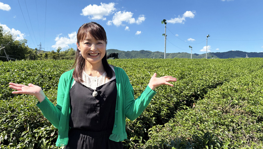 村茶の里を訪ねて　～京都府相楽郡南山城村～