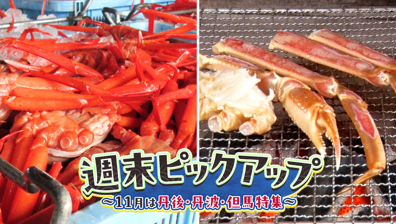 11月は丹後・丹波・但馬特集