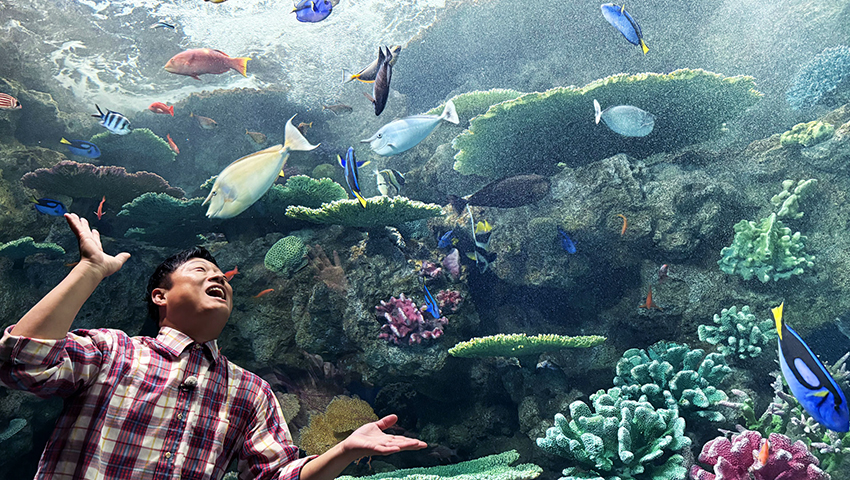 スマシーで遊ぼう！　～兵庫県神戸市～