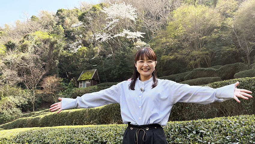 神戸の歴史とお茶どころ　～兵庫県神戸市～