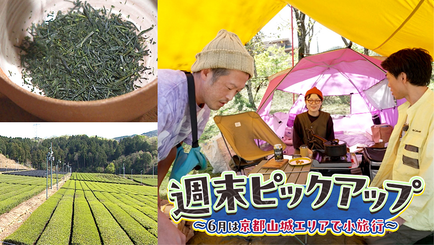6月は京都山城エリアで小旅行