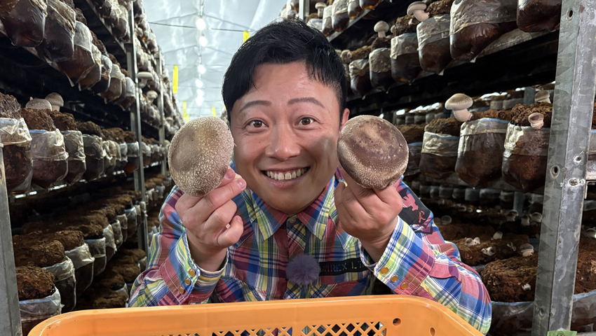 龍神マッシュと癒しの温泉　～和歌山県田辺市龍神村～