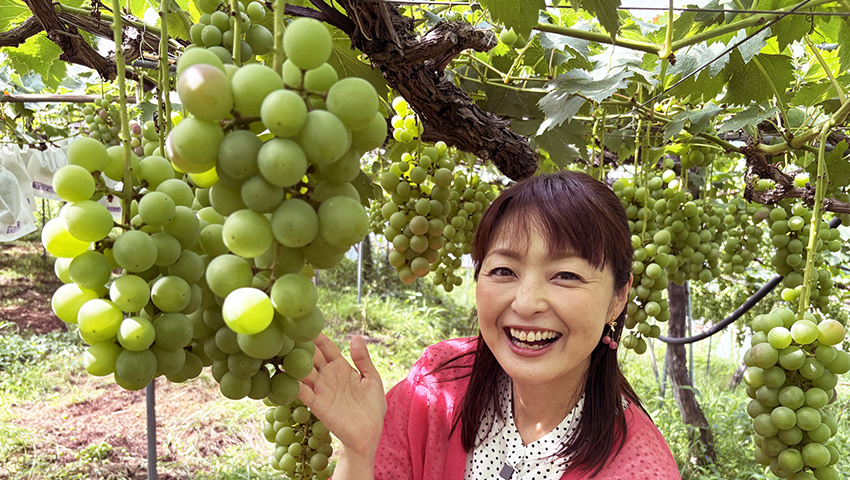 お大師さんとご神犬　～和歌山県伊都郡かつらぎ町～