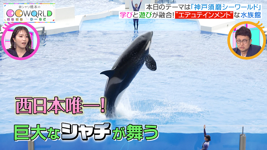 神戸須磨シーワールド