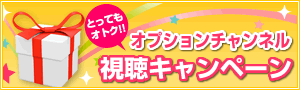 オプションチャンネルキャンペーン